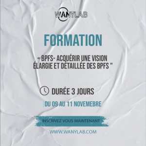 Formation - BPFs- Acquérir une vision élargie et détaillée des BPFs