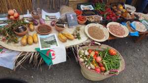 Actualité de nos programmes : Union européenne en Algérie الاتحاد الأوروبي في الجزائر