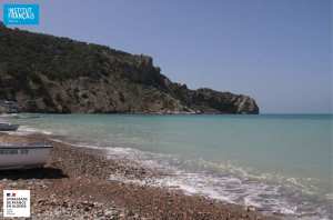 « DIVERSITÉ DE LA FAUNE ET LA FLORE EN ALGÉRIE » à l'Institut Français Tlemcen