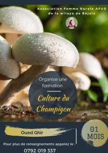 Formation sur la culture du champignion