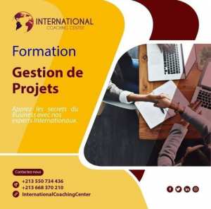 Formation MS Project