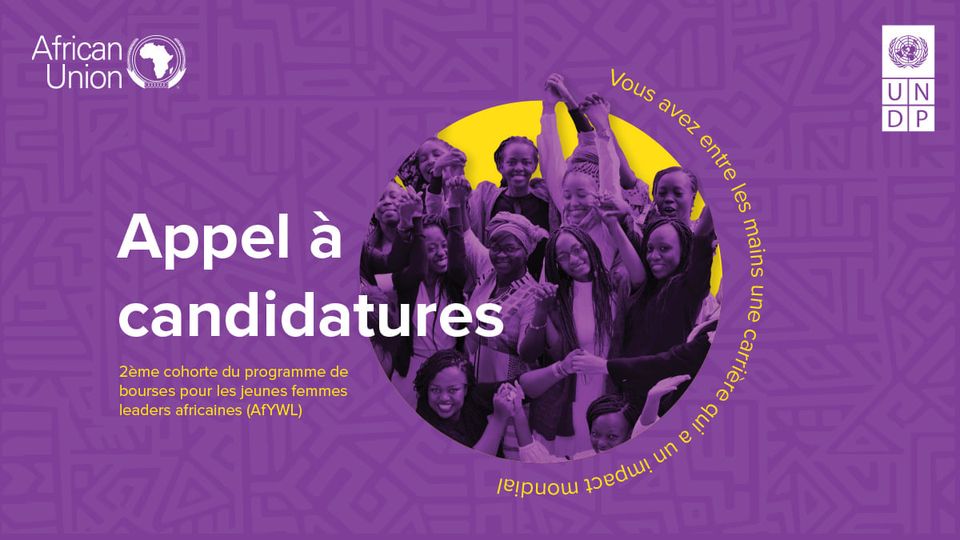 Le Programme des Nations Unies pour le développement - PNUD est à la recherche de 25 jeunes femmes africaines pour joindre son second programme des Jeunes Femmes Leaders.