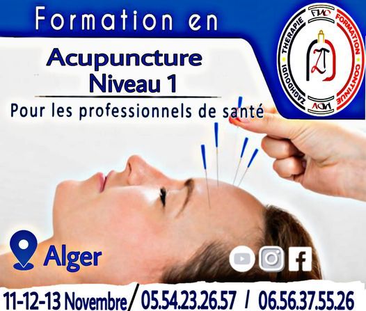 Formation En Acupuncture Niveau 1