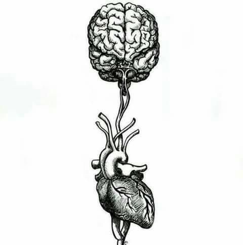 عيد ابإستقلال