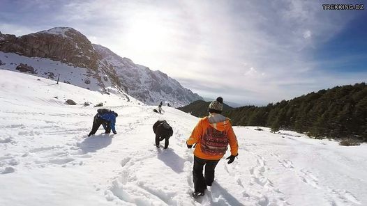 Thala Guilef sous la neige ( randonnée)