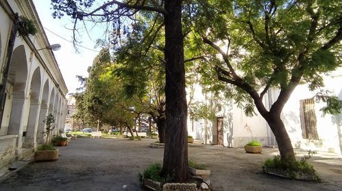 محاضرة حول عسر القراءة