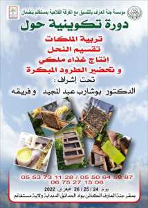 تحظير الدورة التكوينية بجنة العارف بمستغانم حول تربية الملكات و انتاج الطرود المبكرة.