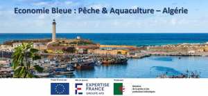 Union européenne en Algérie الاتحاد الأوروبي في الجزائر Recrutement