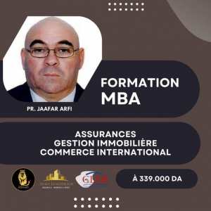 Formation MBA