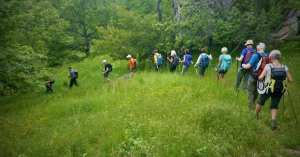 Randonnée Prima Vera Ras Eloued Sabra Tlemcen , le 14 mai 2022