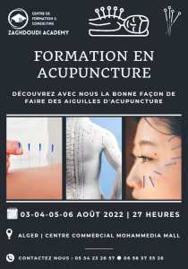 Formation en Acupuncture " Médecine Chinoise "