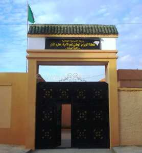 الديوان الوطني لمحو الأمية وتعليم الكبار التابع لوزارة التربية