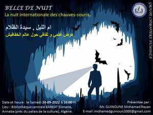 La nuit internationale des chauve souris