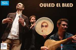 Institut Français Tlemcen 🔹🔹🔷🔷CONCERT OULED EL BLED (CHAABI)