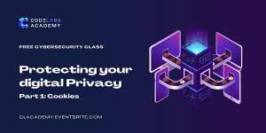 Protecting your digital Privacy - Part 1: Cookies