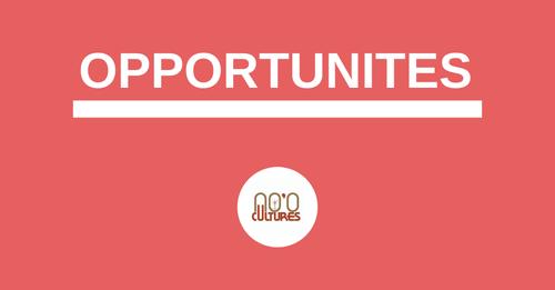 Bourse de soutien à 100 artistes : appel à candidatures du Fonds culturel Sud