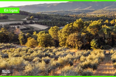 En ligne - Web vert: 