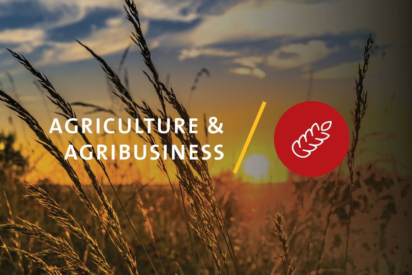 توظيف في إطار برنامج #دعم قطاع #الزراعة في #الجزائر