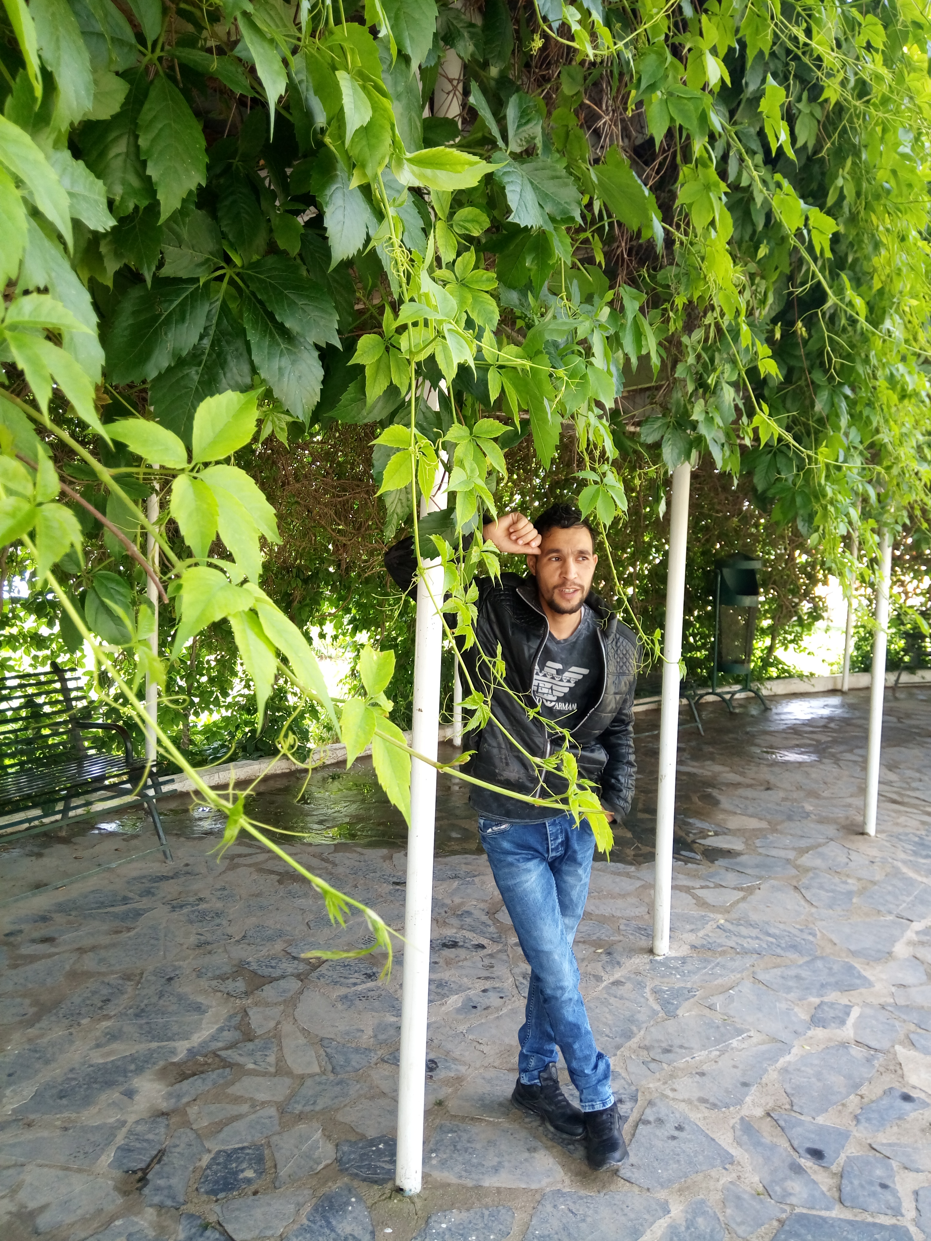 البحث عن زوجة