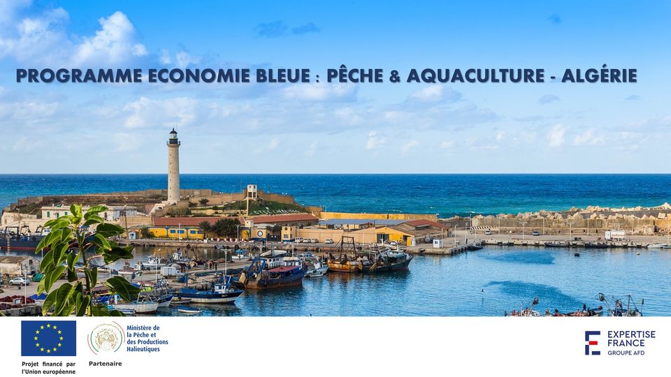 #Recrutement : Le Programme Economie Bleue 🌊 - Pêche et Aquaculture 🐟