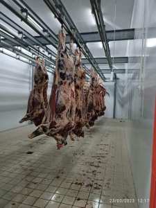 هل وصلكم لحم 1200 دينار المستورد من #البرازيل ؟