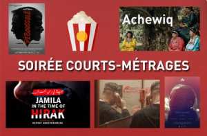 SOIRÉE COURTS-MÉTRAGES
