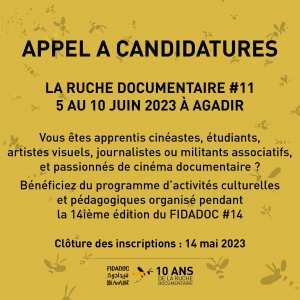 📣🐝 APPEL A CANDIDATURES_La Ruche documentaire pendant le FIDADOC 2023