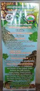 Festival de la Figue de Beni Maouche