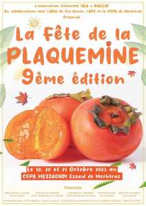 Association Culturelle Tala u Guellid Mechtras  La fête de la plaquemine est à nos portes