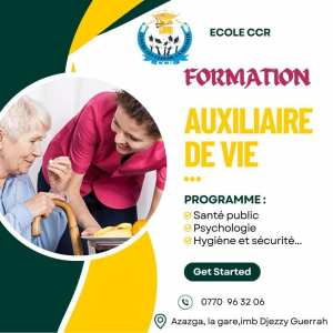 formation auxiliaire de vie