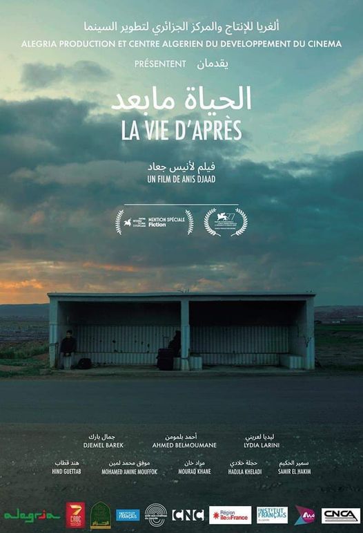 Projection : La vie d'après d'Anis Djaad