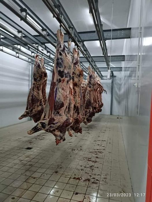 هل وصلكم لحم 1200 دينار المستورد من #البرازيل ؟