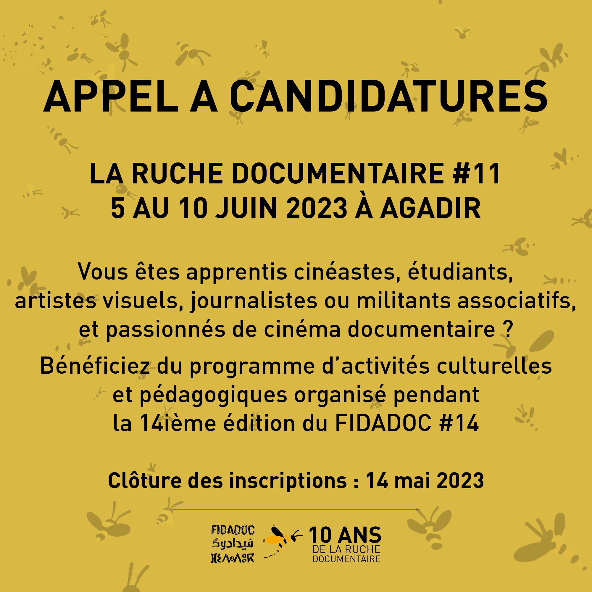 📣🐝 APPEL A CANDIDATURES_La Ruche documentaire pendant le FIDADOC 2023