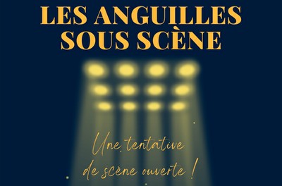 ANGUILLES SOUS SCÈNE - SCÈNE OUVERTE