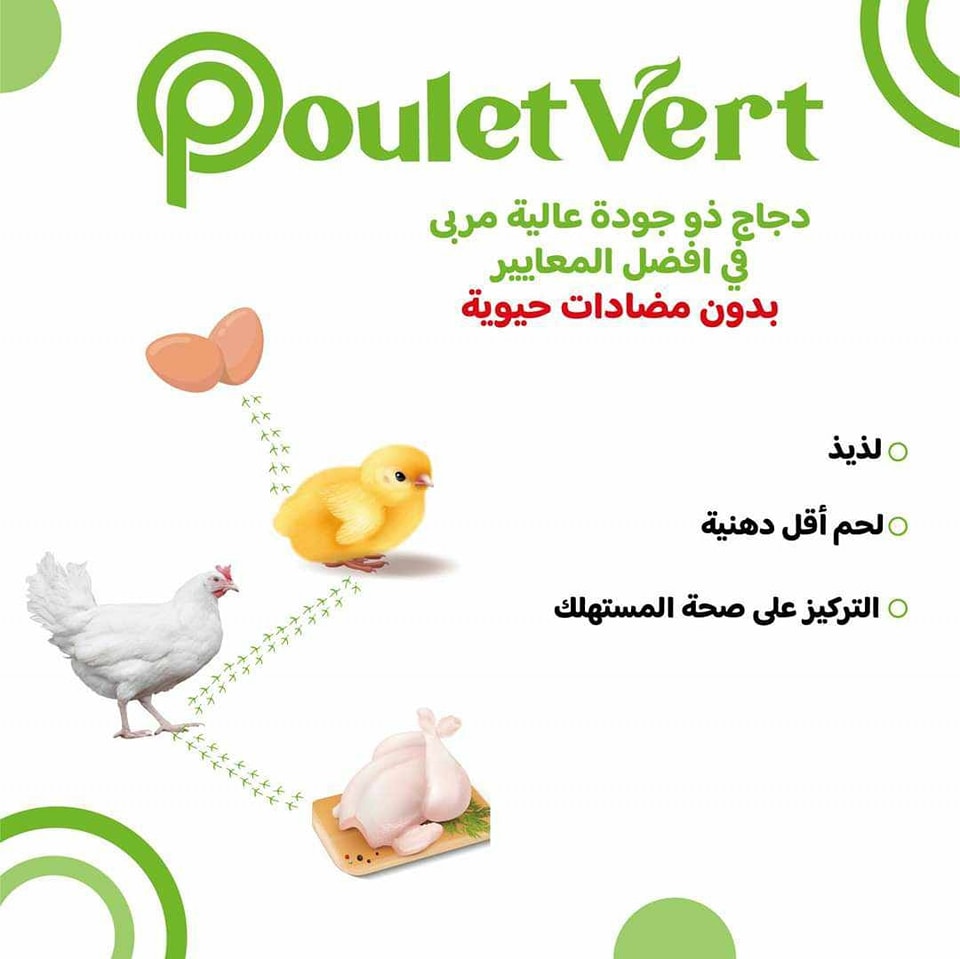 أخيرا دجاج🐔 بدون بقايا أدوية ‼️