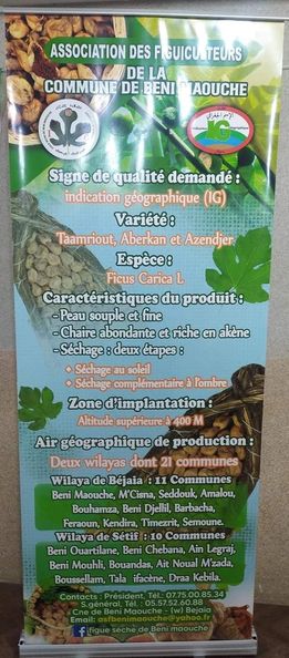 Festival de la Figue de Beni Maouche