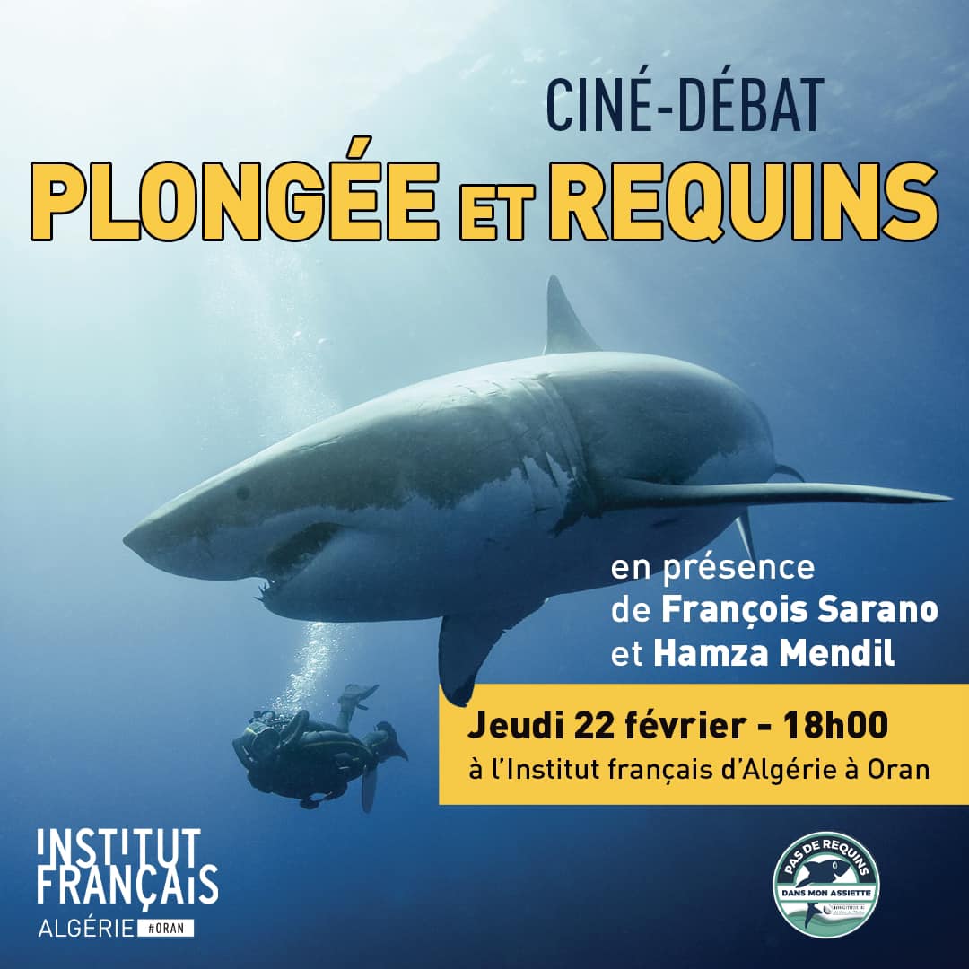 Projection du film documentaire 🎥 « Plongée et requins »