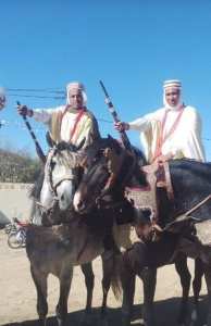 وعدة مولاي سليسن ولاية سيدي بلعباس