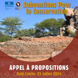 Appel à propositions : Subventions pour la conservation du patrimoine mondial africain ! 🌍