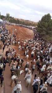 وعدة سيدي اعمر