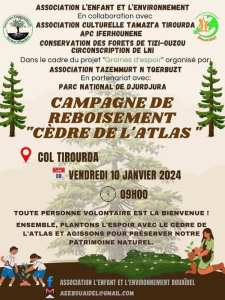 🌱 Campagne  de reboisement  Cèdre de l'Atlas 🌍