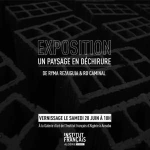 🏙️ Exposition  Un paysage en déchirure