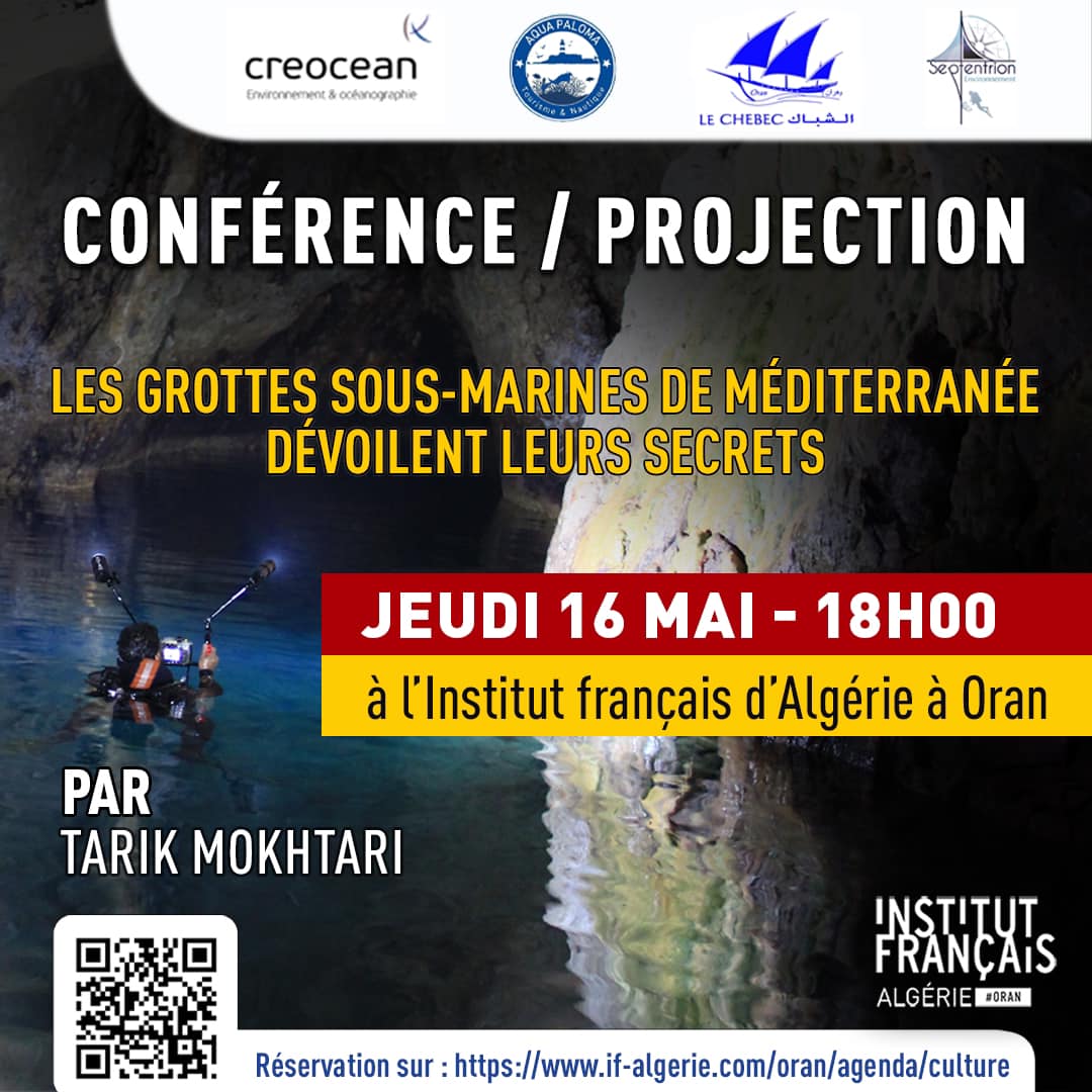 🎥 Projection spéciale à l’occasion du mois de l’environnement : LES GROTTES SOUS-MARINES DE MÉDITERRANÉE DÉVOILENT LEURS SECRETS 🌊🔍