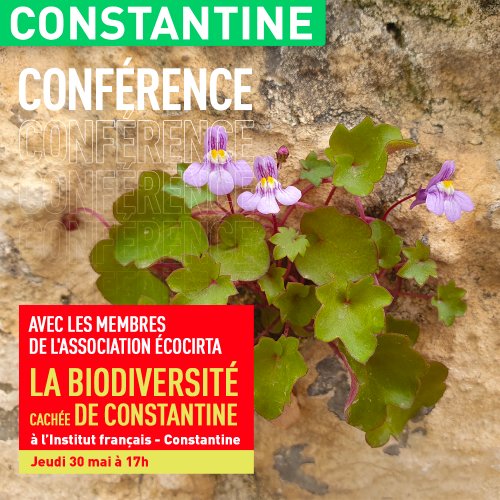 LA BIODIVERSITÉ CACHÉE DE CONSTANTINE Conférences Et Rencontres