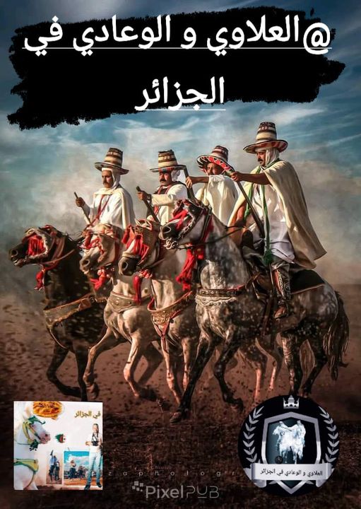 #برنامج المهرجان الخيل الجزائري لهدا الاسبوع