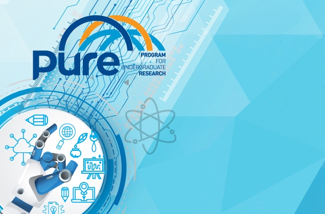 programme PURE (Programme de Recherche Universitaire d’Été) 2025 :