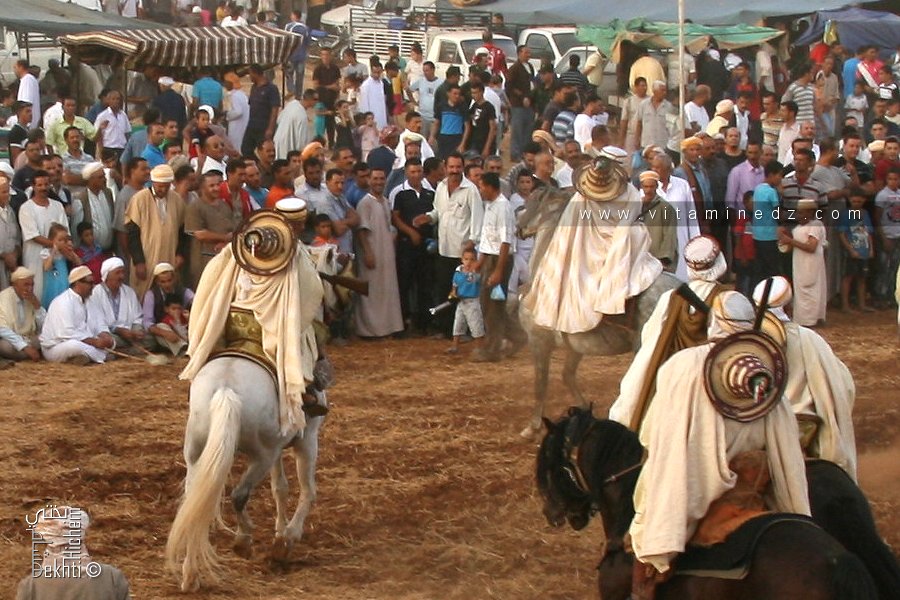 📣 وعدة عين البرد – ولاية سيدي بلعباس