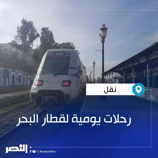 عودة قطار البحر 🚆🏊