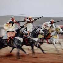 وعدة مصطفى بن إبراهيم – ولاية سيدي بلعباس