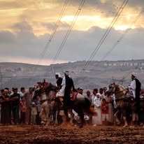 برنامج الوعايد لهذا الأسبوع